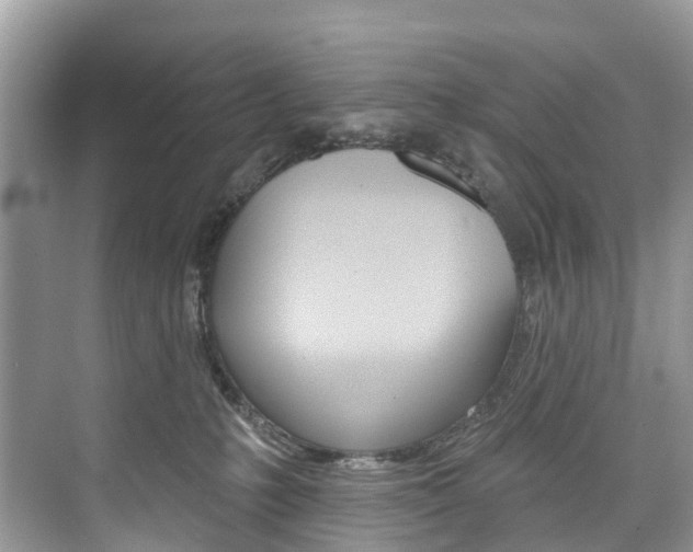 X0000074940231200609010953