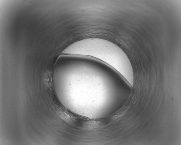 X0000074940237200609010953