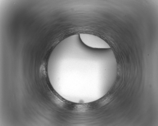 X0000074940238200609010953