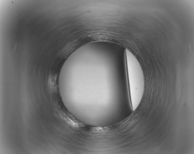 X0000074940239200609010953