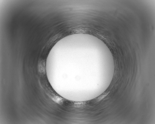 X0000074940240200609010953