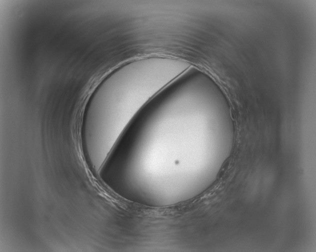 X0000074940241200609010952