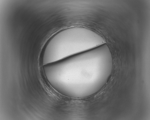 X0000074940242200609010952