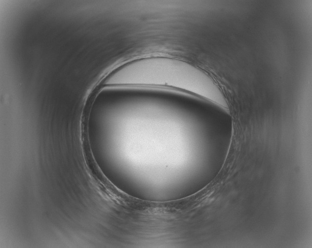 X0000074940244200609010952