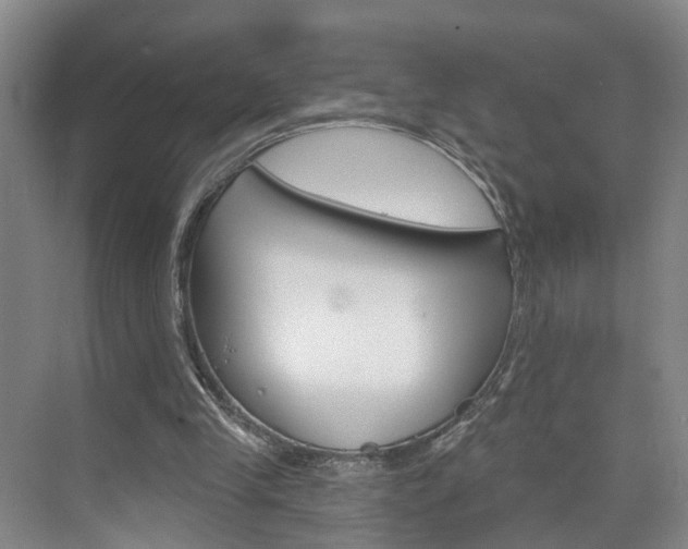 X0000074940245200609010952