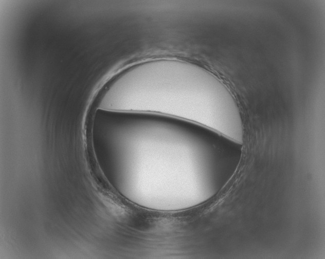 X0000074940246200609010952