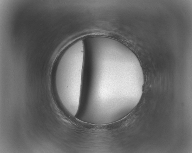 X0000074940247200609010952