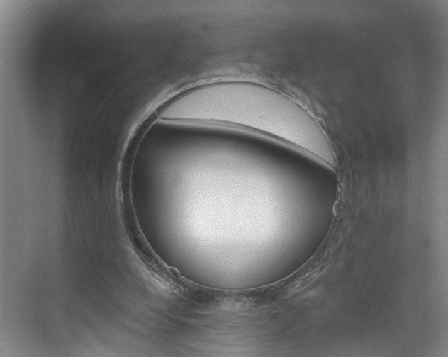 X0000074940248200609010952