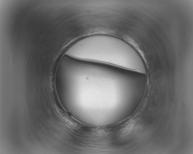 X0000074940249200609010952