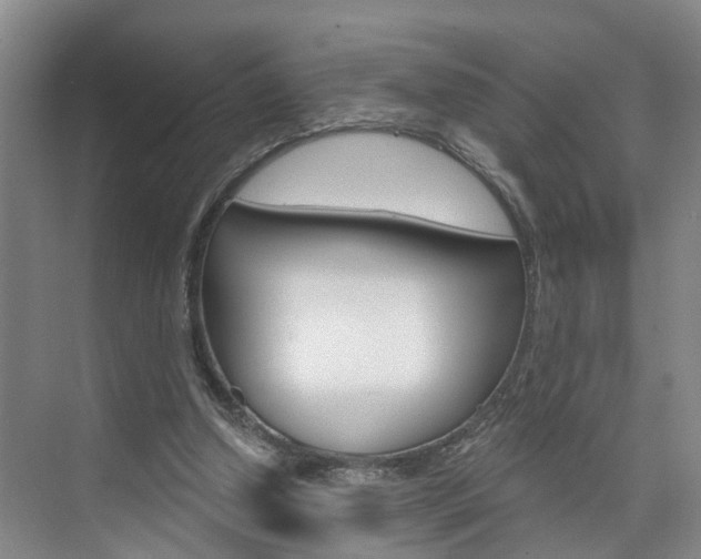 X0000074940250200609010952