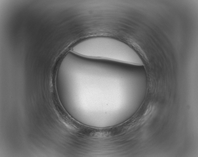 X0000074940251200609010952