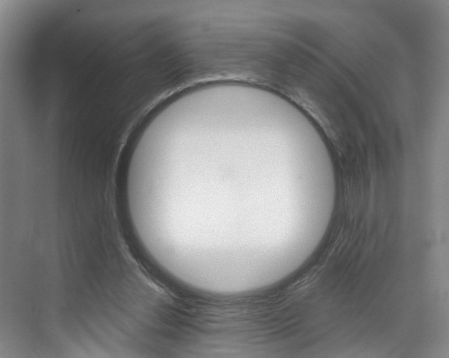 X0000074940252200609010952