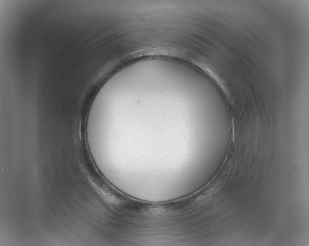 X0000074940253200609010952