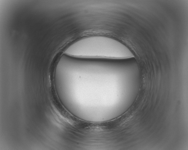 X0000074940254200609010952