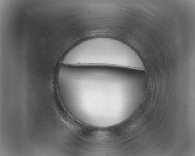 X0000074940255200609010952