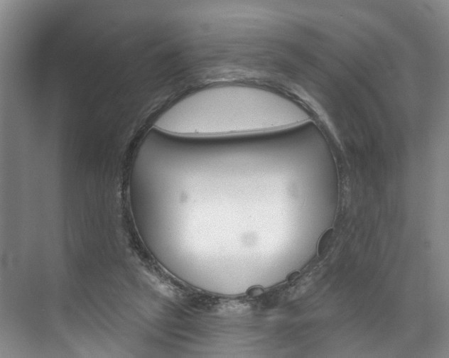 X0000074940257200609010952