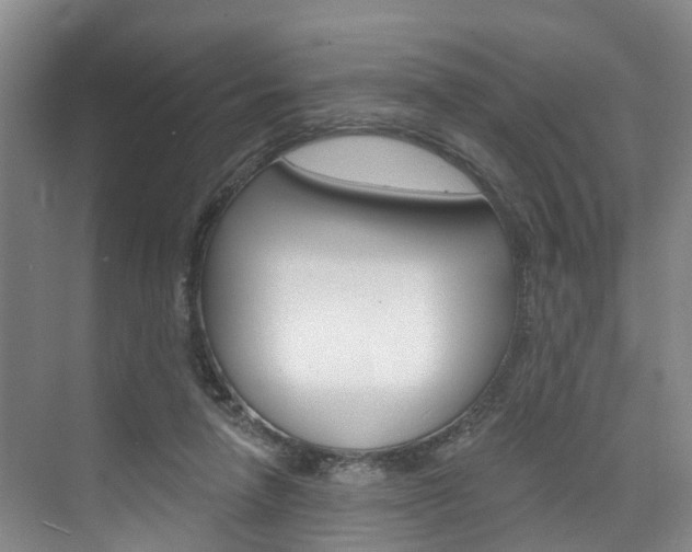 X0000074940258200609010952