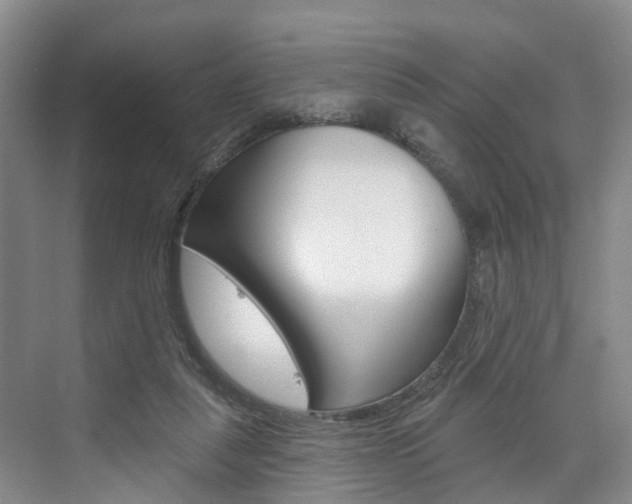 X0000074940259200609010952