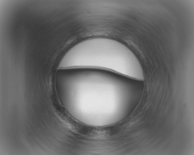 X0000074940260200609010952