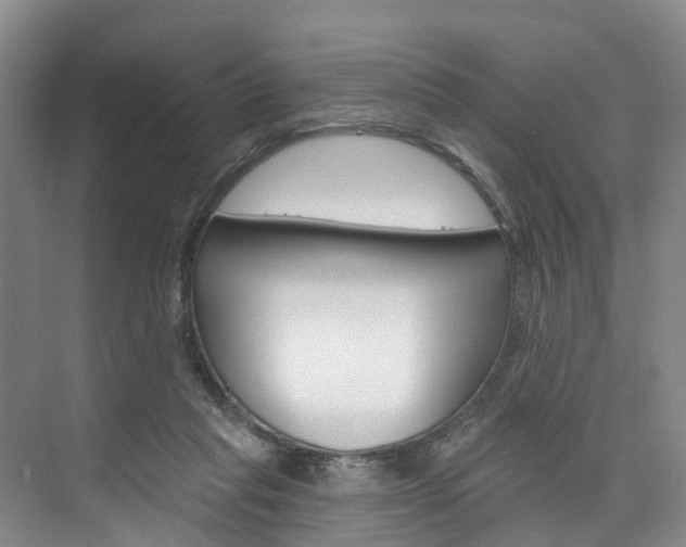 X0000074940261200609010952