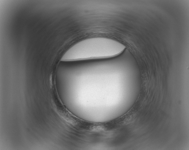 X0000074940262200609010952