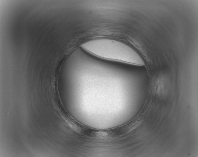 X0000074940265200609010952