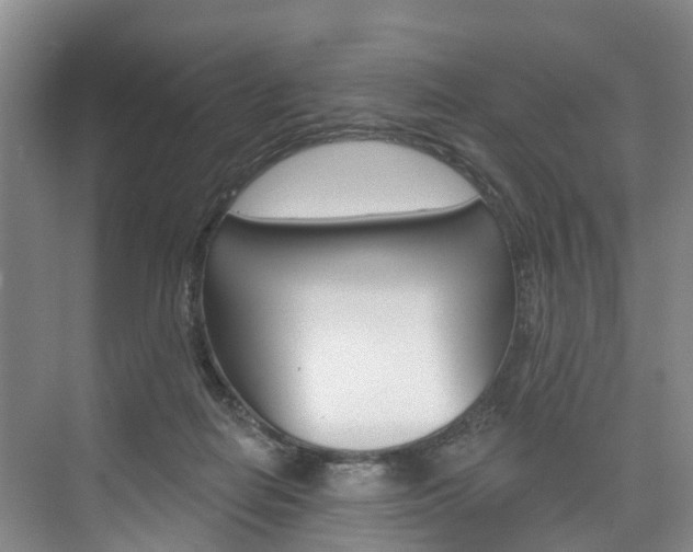 X0000074940266200609010952