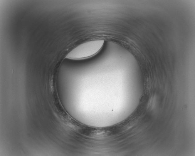 X0000074940267200609010952