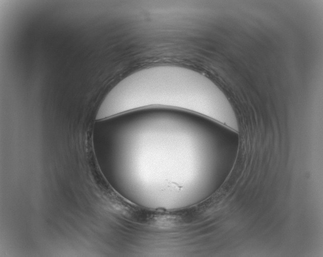 X0000074940268200609010953