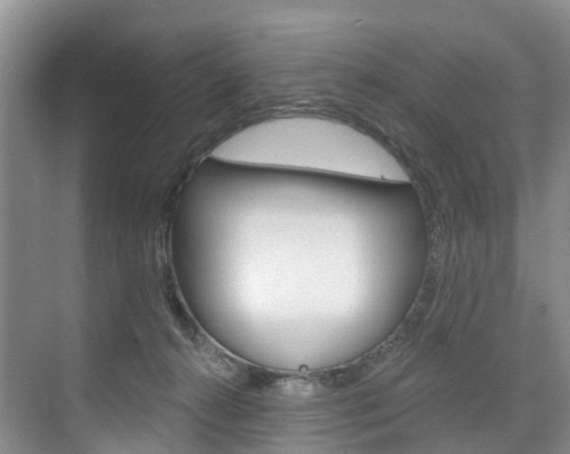 X0000074940272200609010953