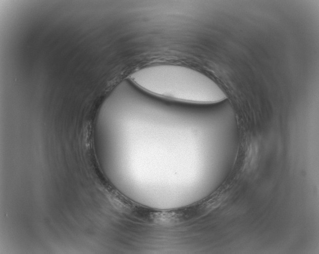 X0000074940273200609010953