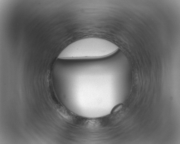 X0000074940275200609010953