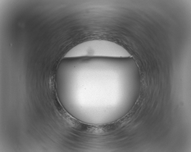 X0000074940276200609010953