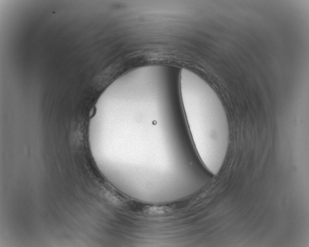 X0000074940277200609010953