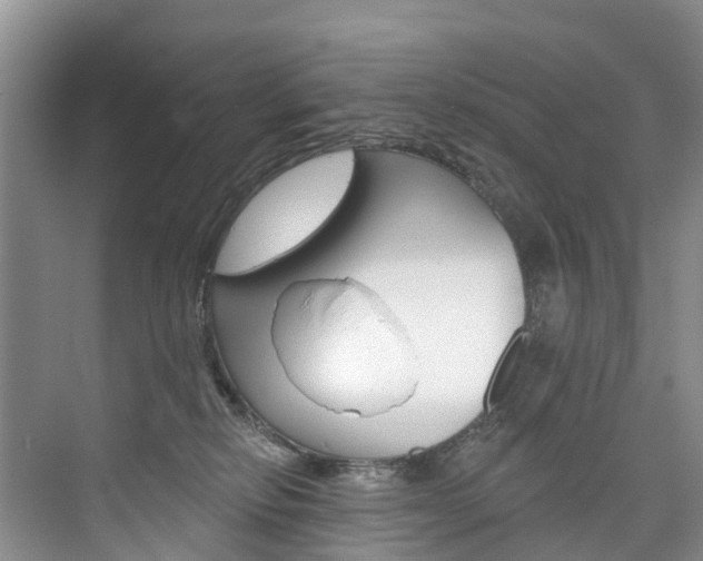 X0000074940278200609010953