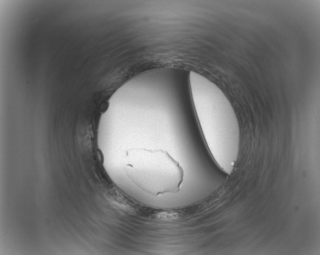 X0000074940279200609010953