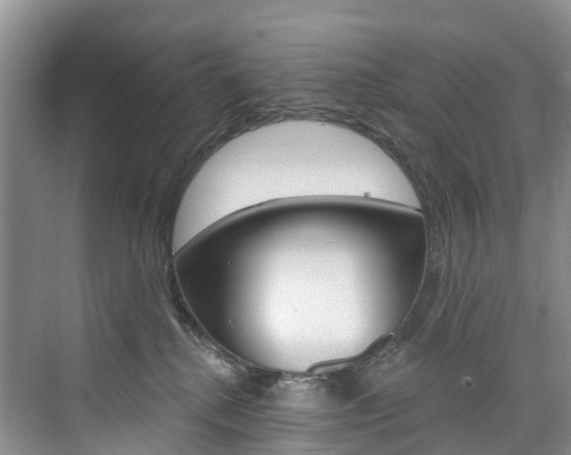 X0000074940280200609010953