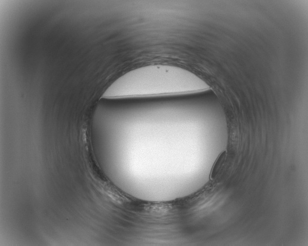 X0000074940282200609010953