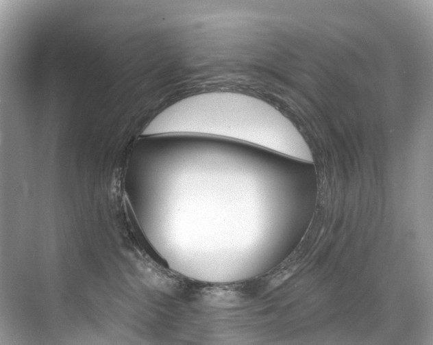 X0000074940284200609010953