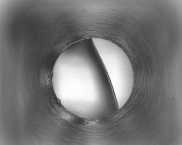 X0000074940285200609010953