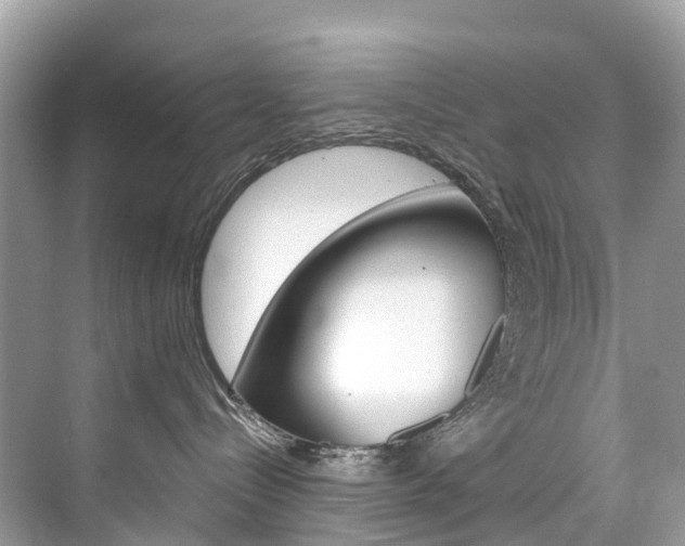 X0000074940288200609010953