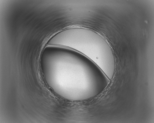 X0000074940289200609010952