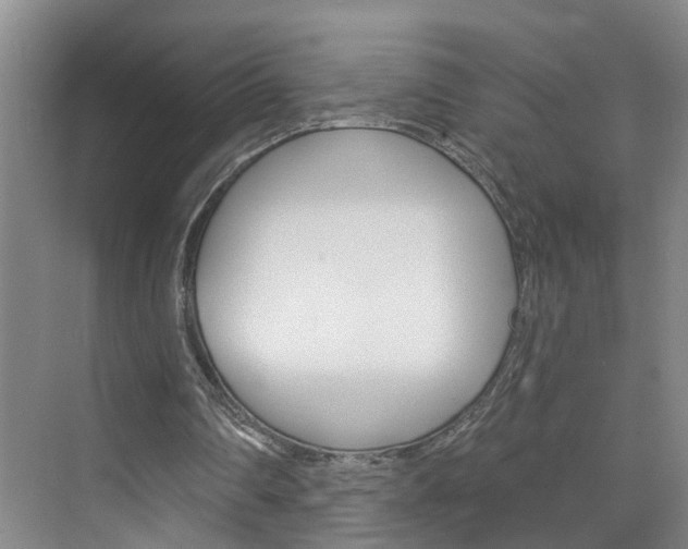 X0000074940290200609010952