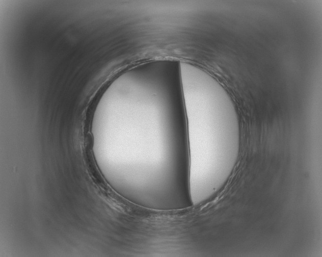 X0000074940291200609010952