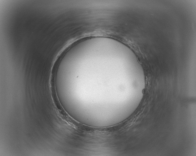 X0000074940292200609010952