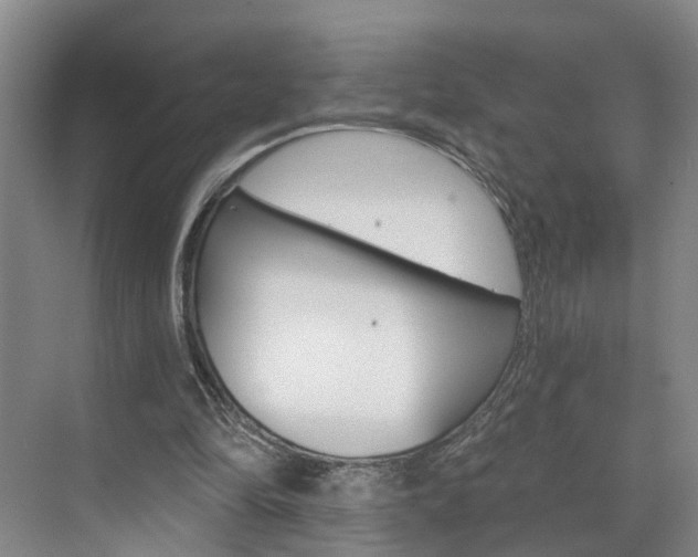 X0000074940294200609010952