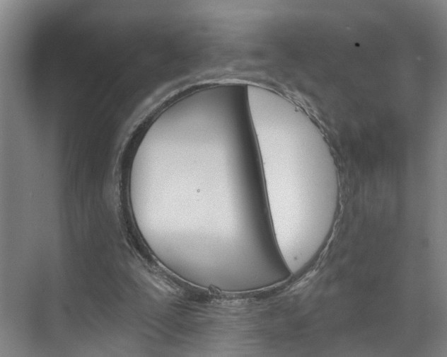 X0000074940295200609010952