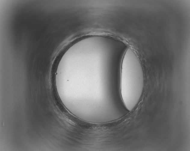 X0000074940296200609010952