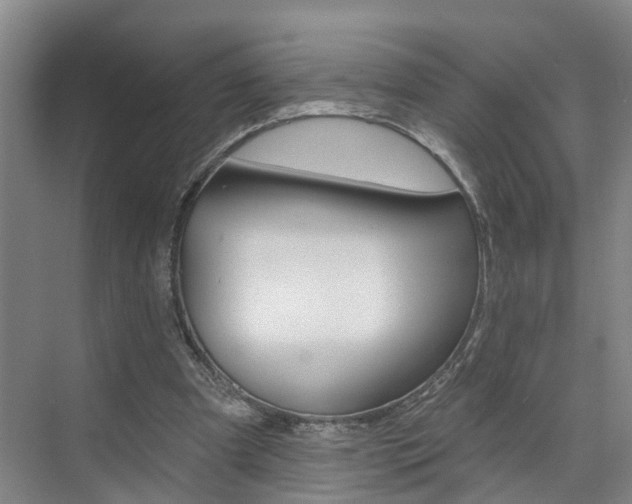 X0000074940297200609010952