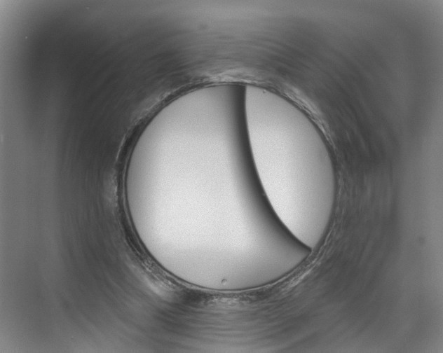 X0000074940298200609010952